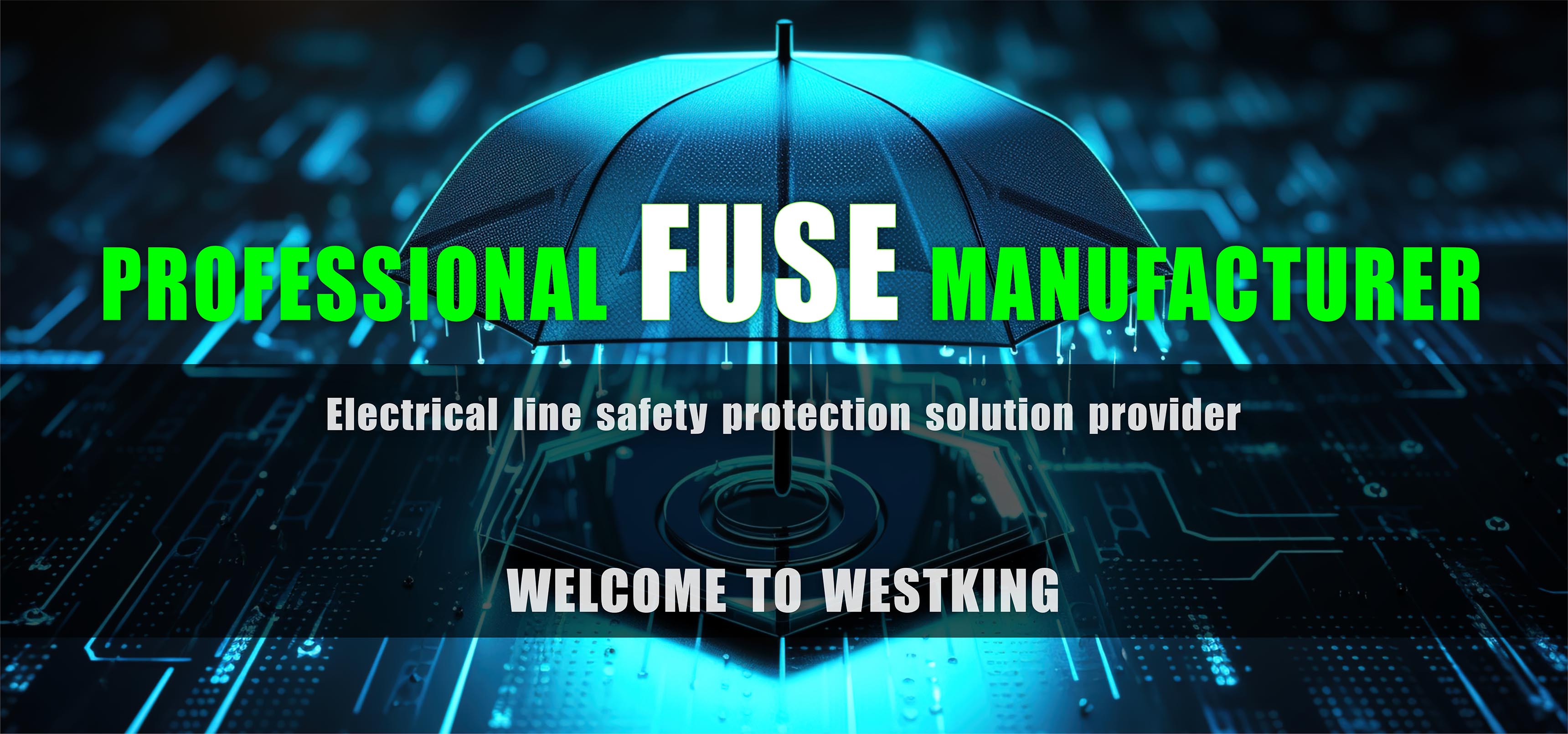 Čína vysokorýchlostná poistka